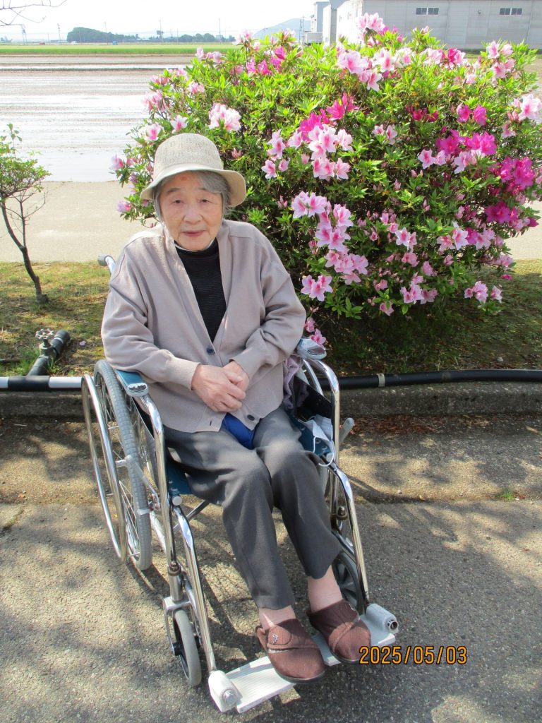 お散歩つつじ