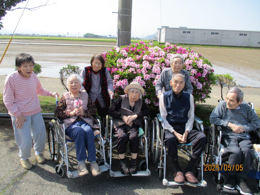 お散歩つつじ